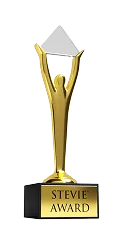 STEVIE AWARD 2021